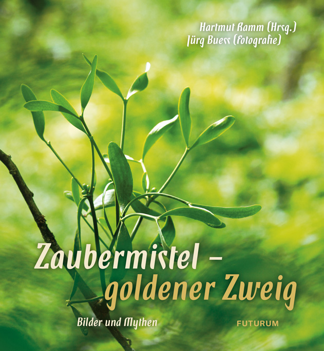 Zaubermistel – goldener Zweig